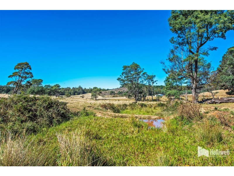 1461 Castra Road, Sprent TAS 7315