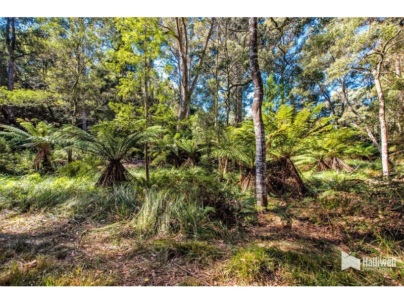 1461 Castra Road, Sprent TAS 7315