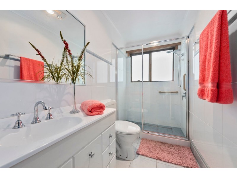 19 Shaw Street, Miandetta TAS 7310