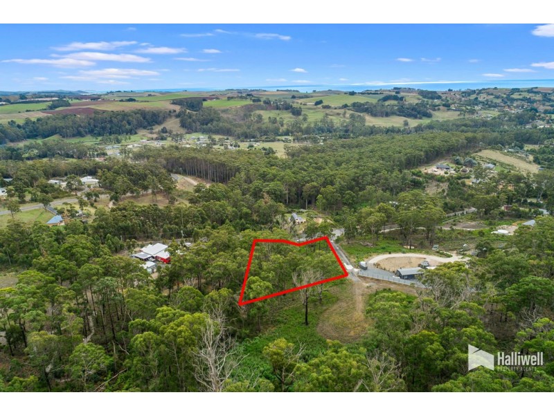 9 Woodland Grove, Tugrah TAS 7310