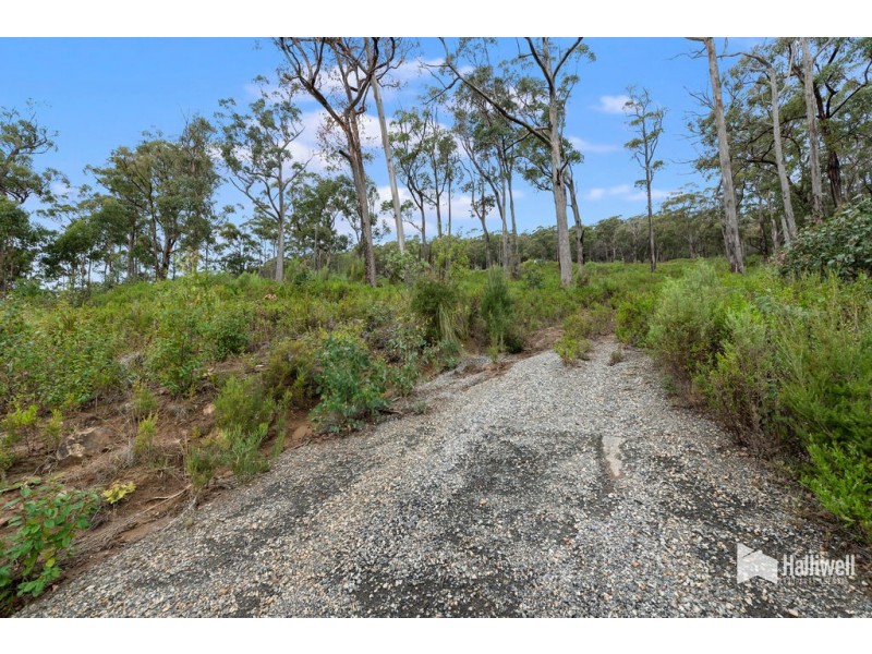 9 Woodland Grove, Tugrah TAS 7310