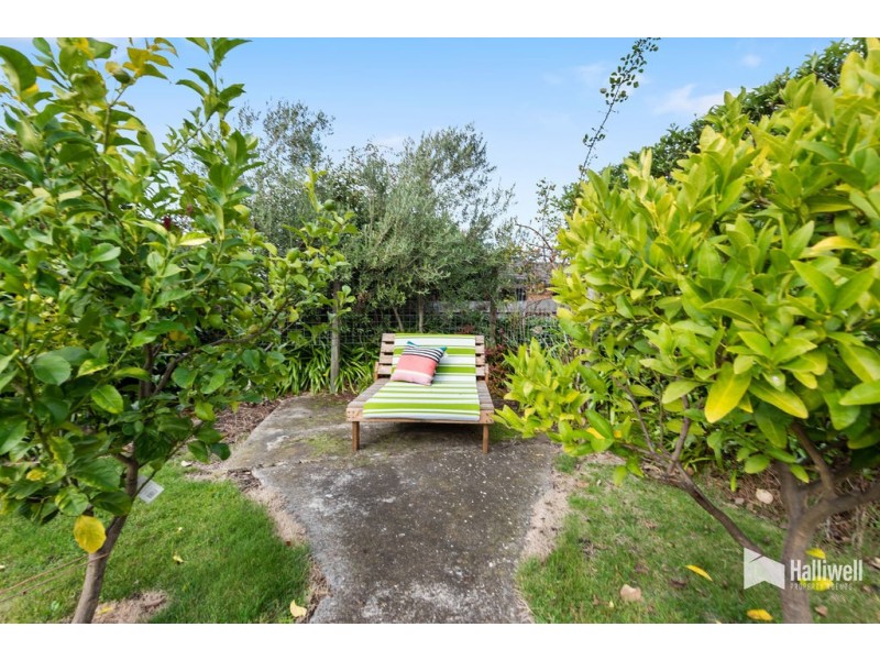 184 William Street, Devonport TAS 7310