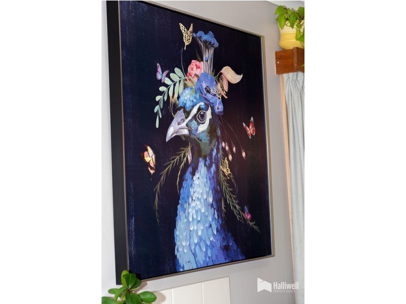 51 North Street, Devonport TAS 7310