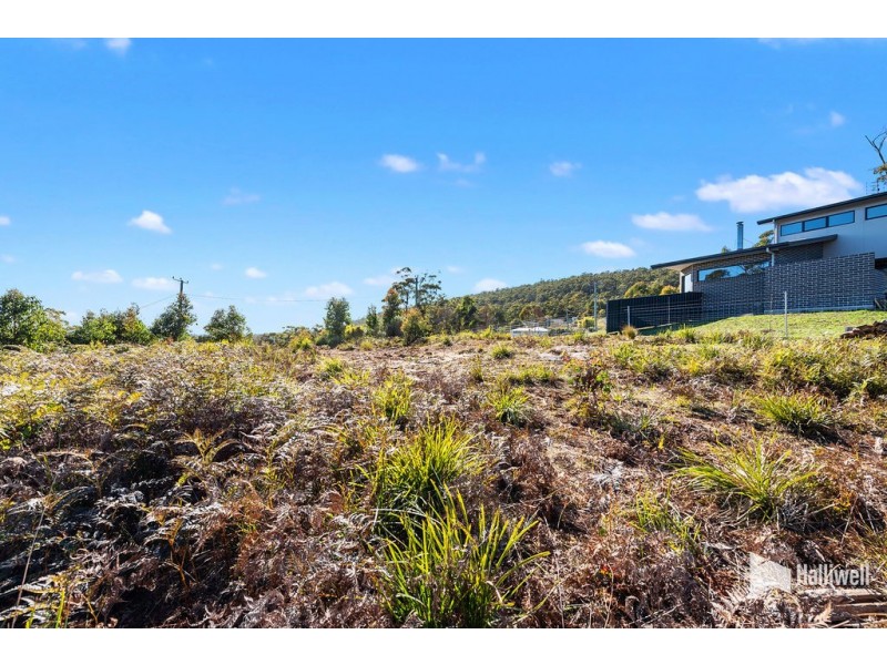16 Forest Heights Drive, Tugrah TAS 7310