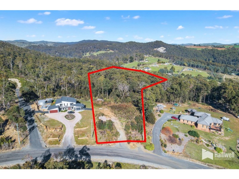 16 Forest Heights Drive, Tugrah TAS 7310