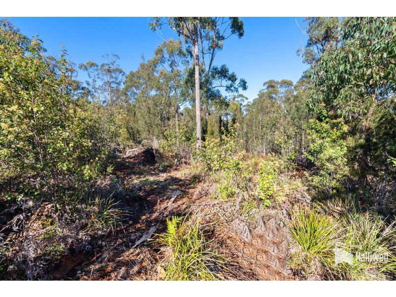 16 Forest Heights Drive, Tugrah TAS 7310