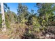 16 Forest Heights Drive, Tugrah TAS 7310