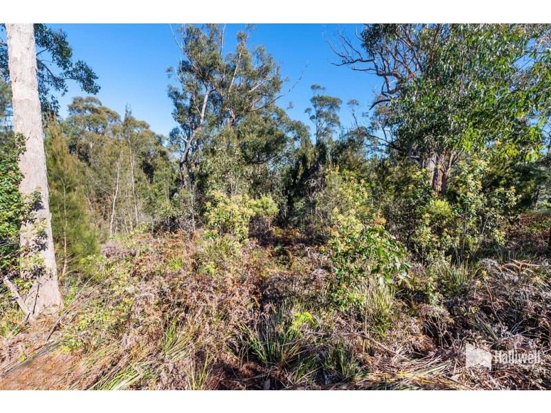 16 Forest Heights Drive, Tugrah TAS 7310