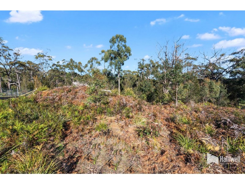 16 Forest Heights Drive, Tugrah TAS 7310