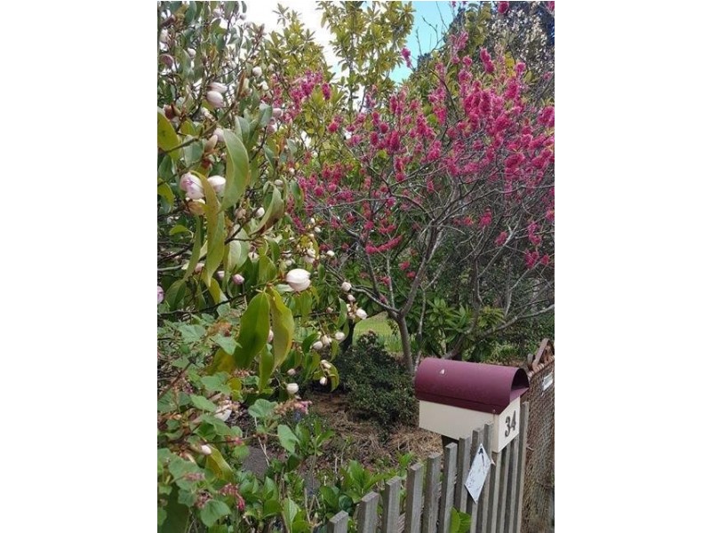 34 Torquay Road, Latrobe TAS 7307