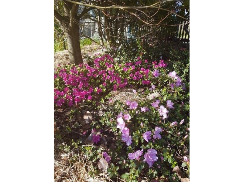 34 Torquay Road, Latrobe TAS 7307