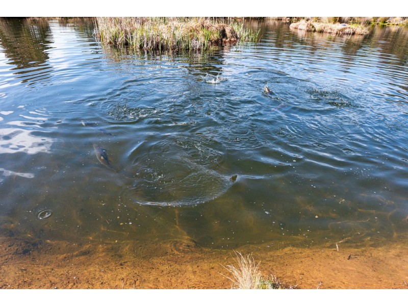 2369 Cradle Mountain Road, Moina TAS 7310