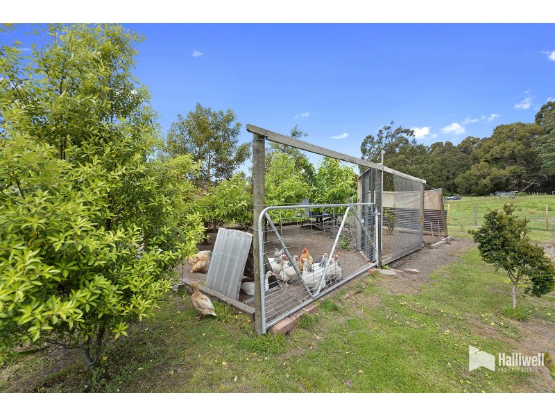 76 Knox Drive, South Spreyton TAS 7310