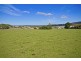 Mill Road, Wesley Vale TAS 7307