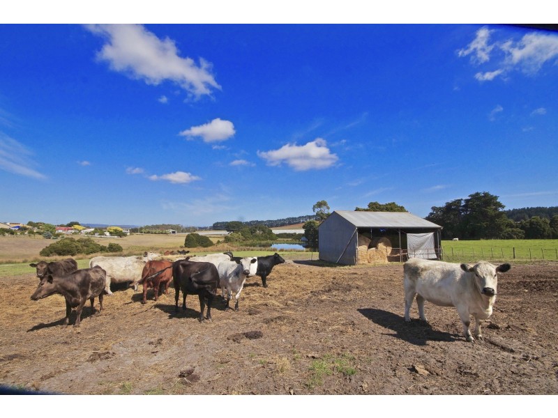 Mill Road, Wesley Vale TAS 7307