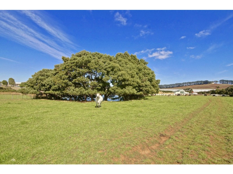Mill Road, Wesley Vale TAS 7307