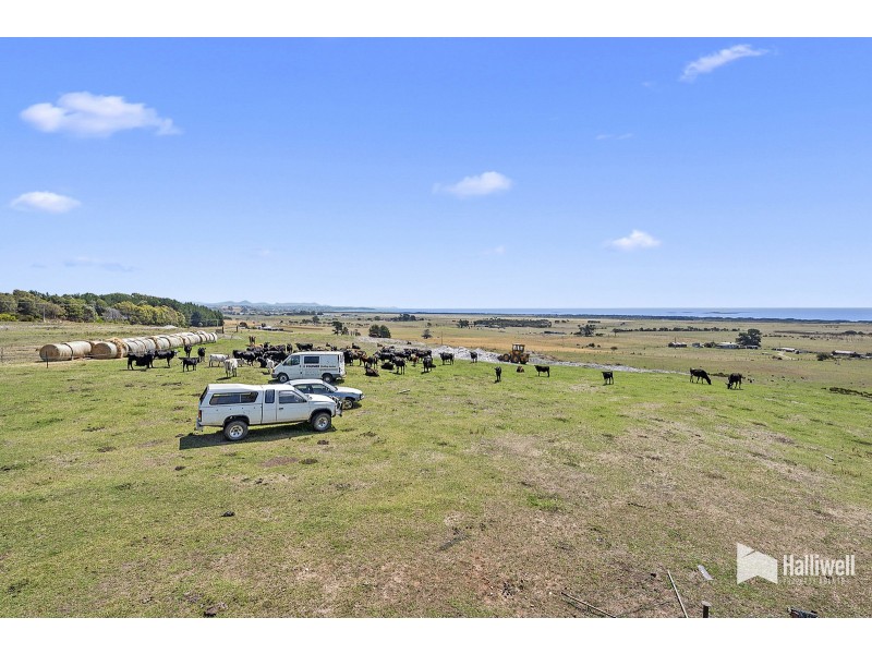 7 Moorland Beach Road, Wesley Vale TAS 7307
