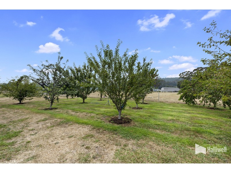 3 Collins Way, Tugrah TAS 7310