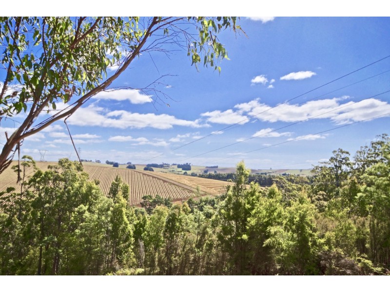 38 Crawford Road, Penguin TAS 7316