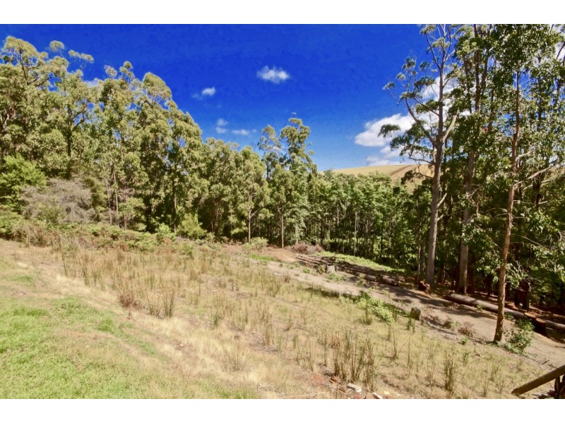 38 Crawford Road, Penguin TAS 7316