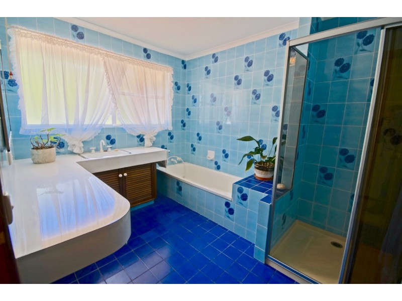 193 Steele Street, Devonport TAS 7310