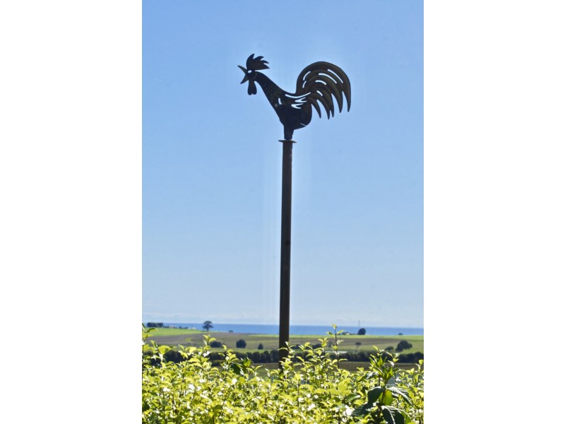 5798 Frankford Road, Wesley Vale TAS 7307