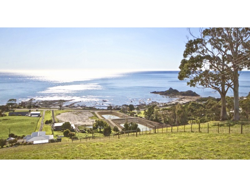 243 Penguin Road, West Ulverstone TAS 7315