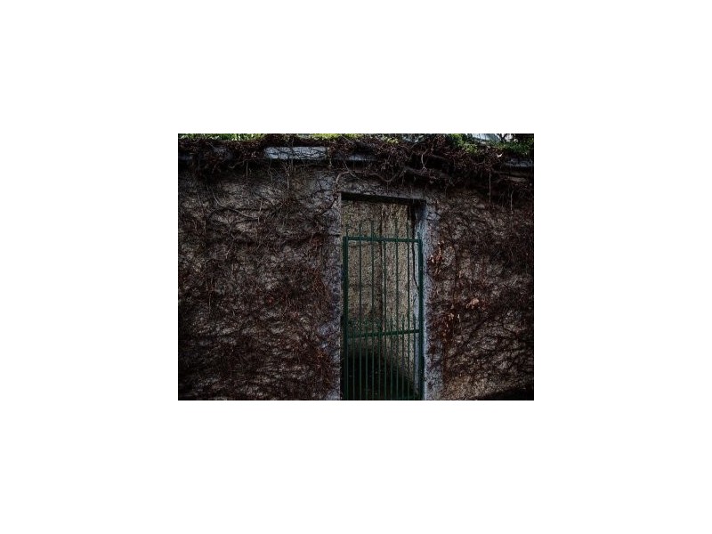 53 Stewart Street, Devonport TAS 7310