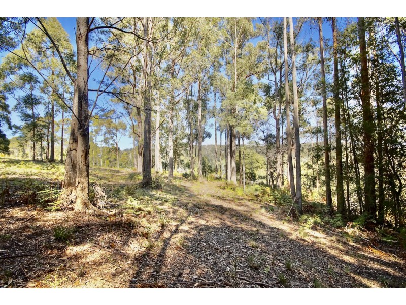 1/49 Wattle Valley Road, Acacia Hills TAS 7306