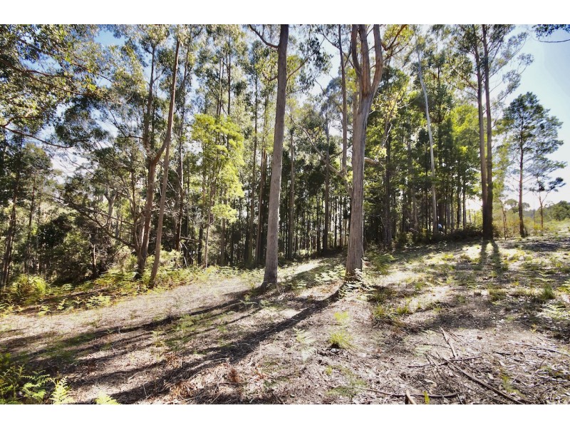 1/49 Wattle Valley Road, Acacia Hills TAS 7306