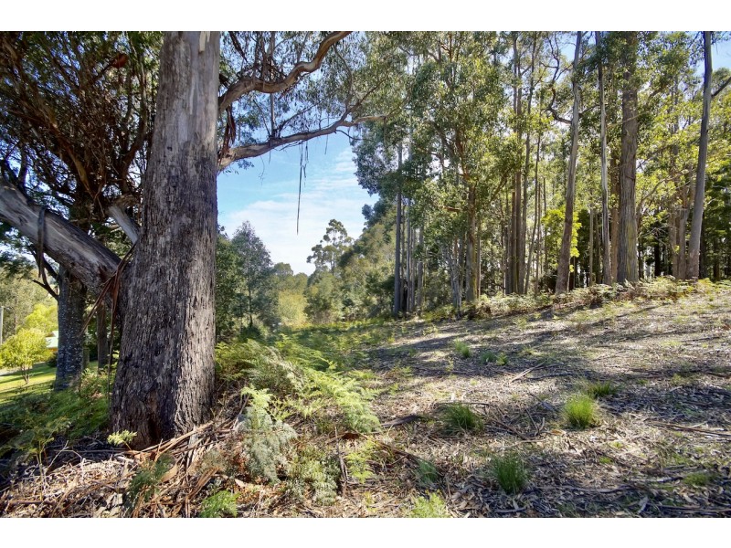 1/49 Wattle Valley Road, Acacia Hills TAS 7306