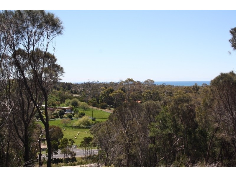 19 Woodland Rise, Northdown TAS 7307