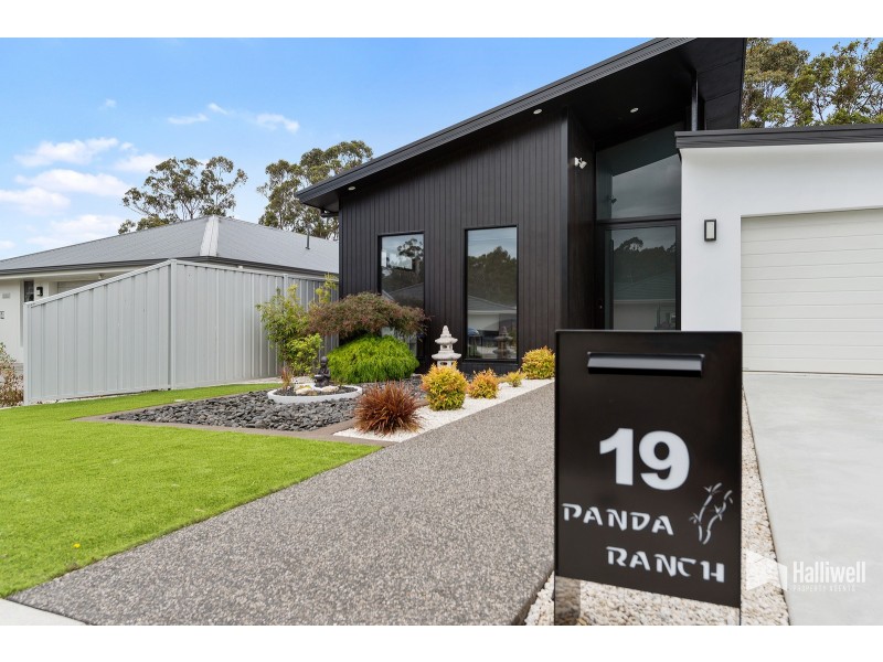 19 McArthur Drive, Spreyton TAS 7310