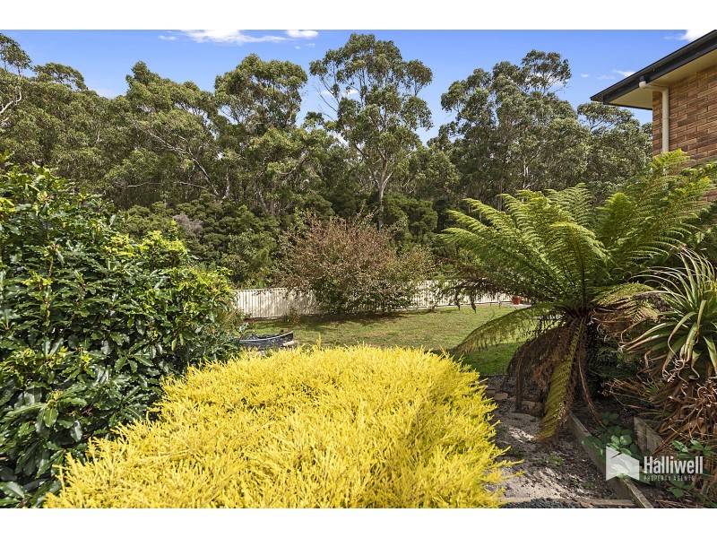 57 Penambul Drive, Miandetta TAS 7310