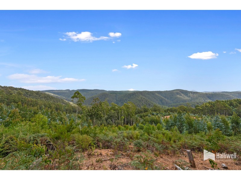 1816 Wilmot Road, Lower Wilmot TAS 7310