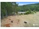 1816 Wilmot Road, Lower Wilmot TAS 7310