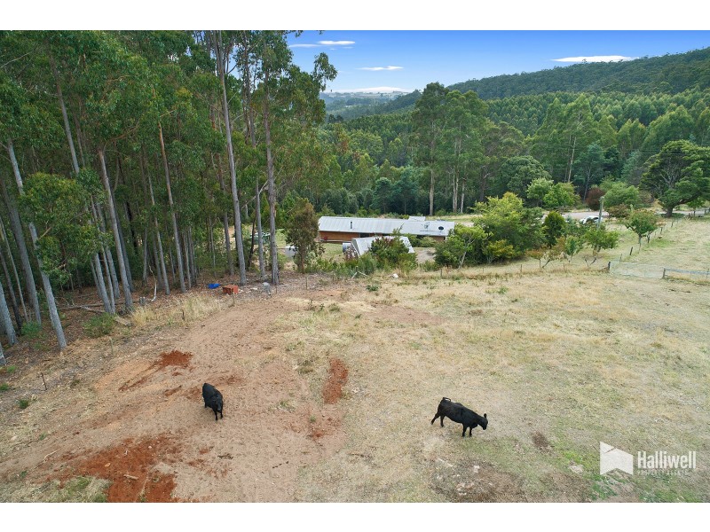 1816 Wilmot Road, Lower Wilmot TAS 7310