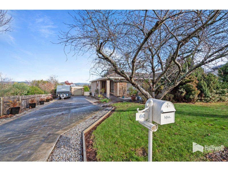 60 West Goderich Street, Deloraine TAS 7304