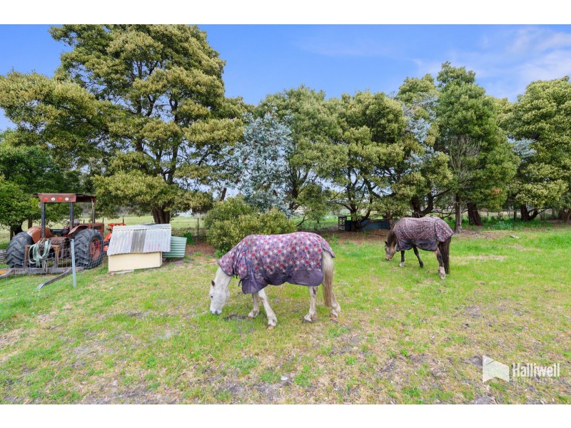 60 Milldam Road, Squeaking Point TAS 7307