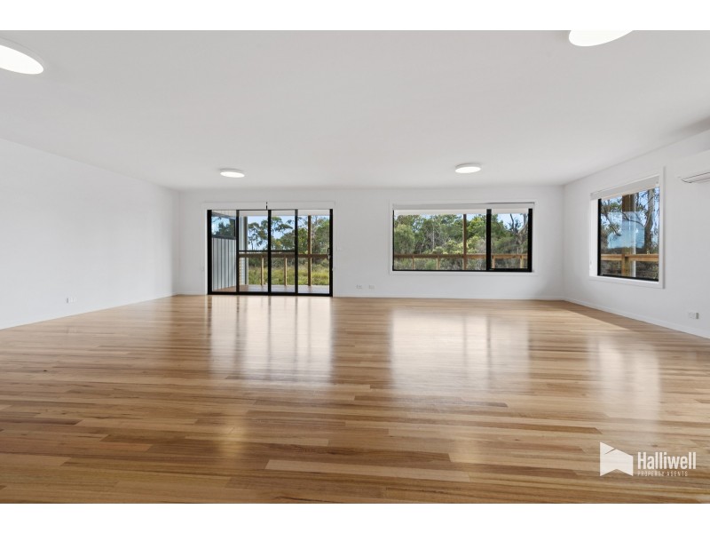25 Charles Street, Squeaking Point TAS 7307