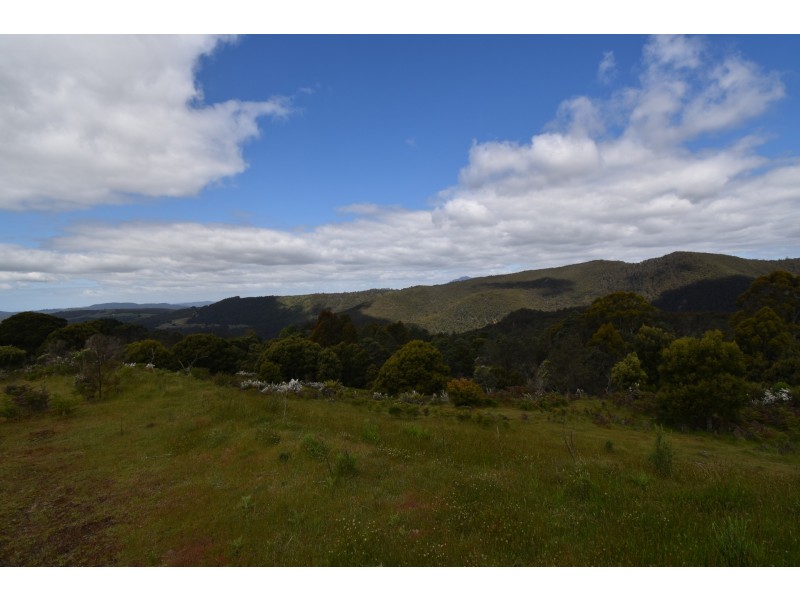 9 Smiths Plains Road, South Nietta TAS 7315