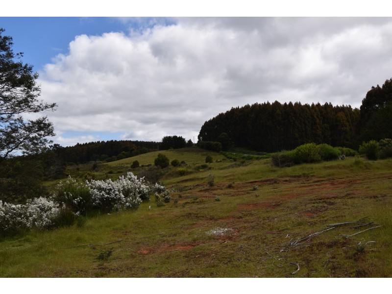9 Smiths Plains Road, South Nietta TAS 7315