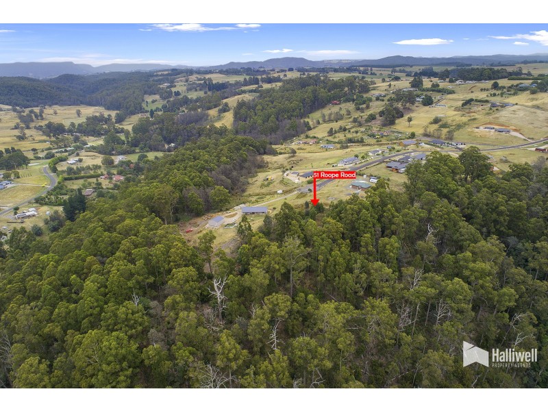 51 Roope Road, Lower Barrington TAS 7306
