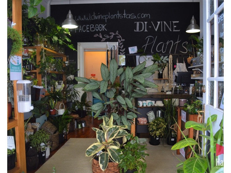 4/70 Gilbert Street, Latrobe TAS 7307