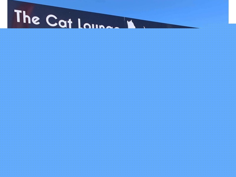 152b William Street, Devonport TAS 7310