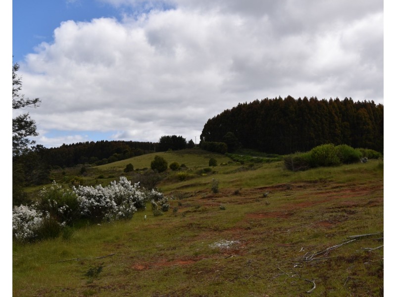 9 Smiths Plains Road, South Nietta TAS 7315