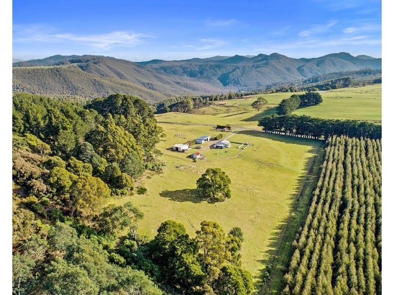365 South Preston Road, South Preston TAS 7315