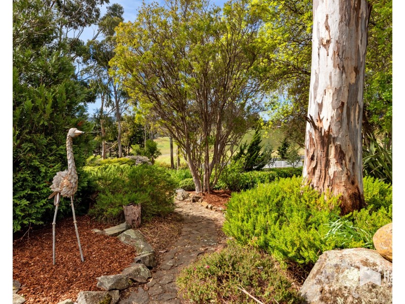 40577 Tasman Highway, St Leonards TAS 7250