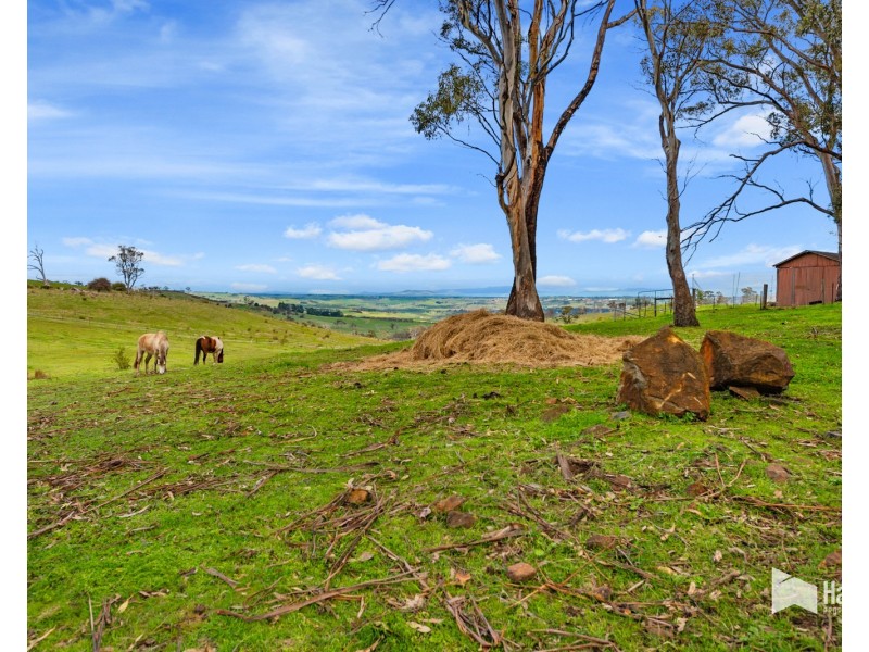 40577 Tasman Highway, St Leonards TAS 7250