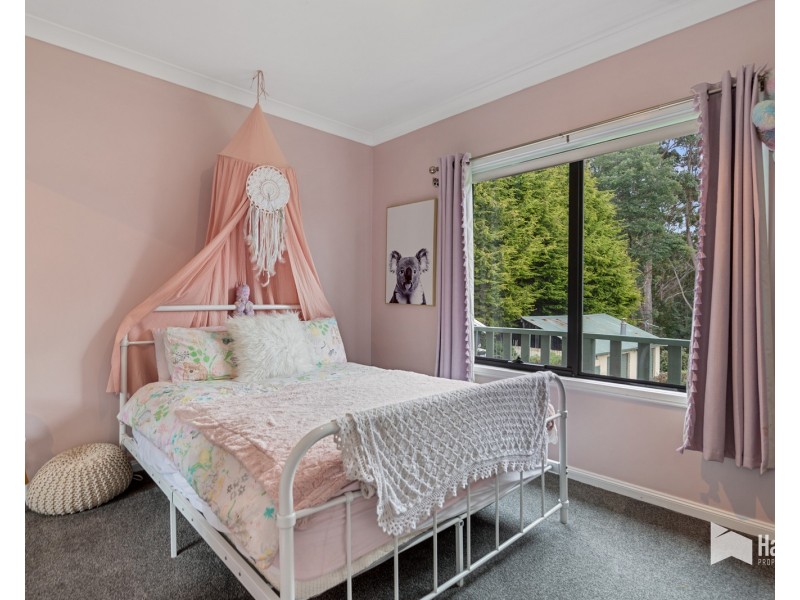 104  Knox Drive, South Spreyton TAS 7310